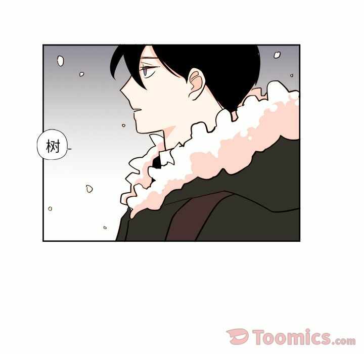第52张