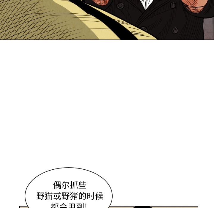 第64张