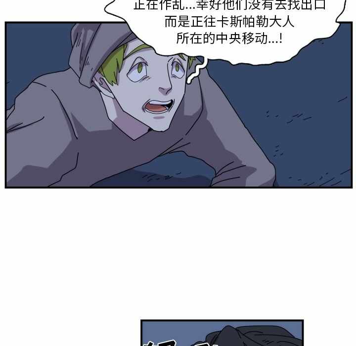 第33张