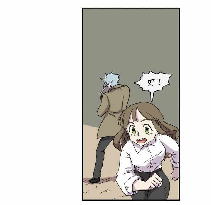 第41张