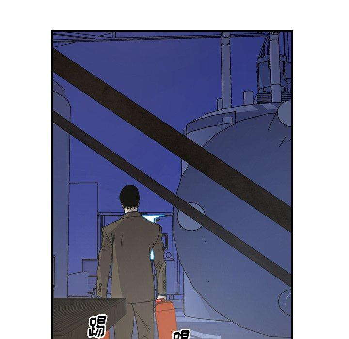 第41张