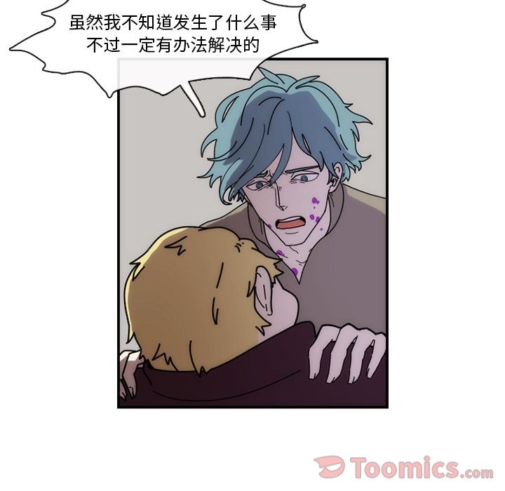 第41张