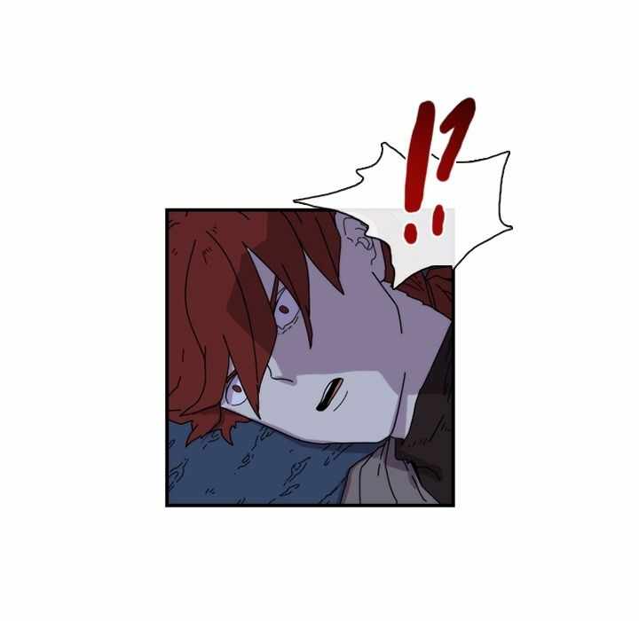 第41张