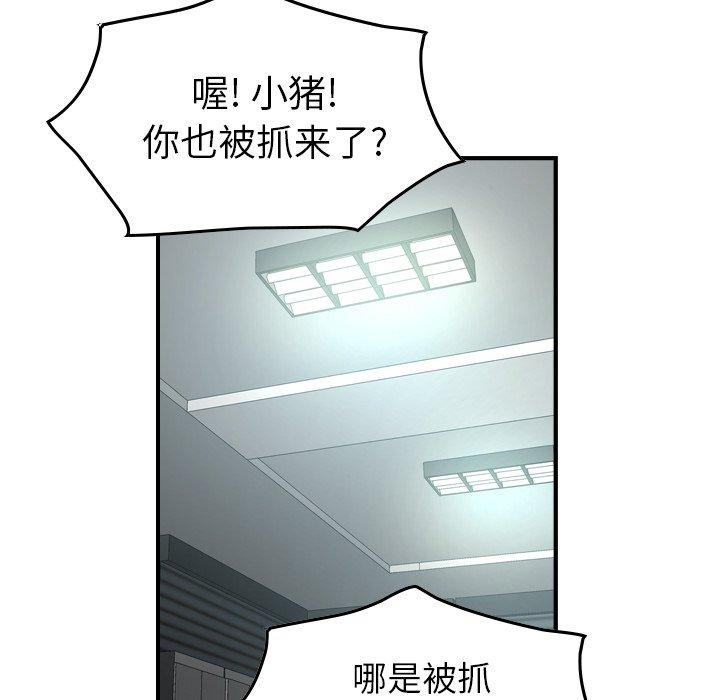 第51张
