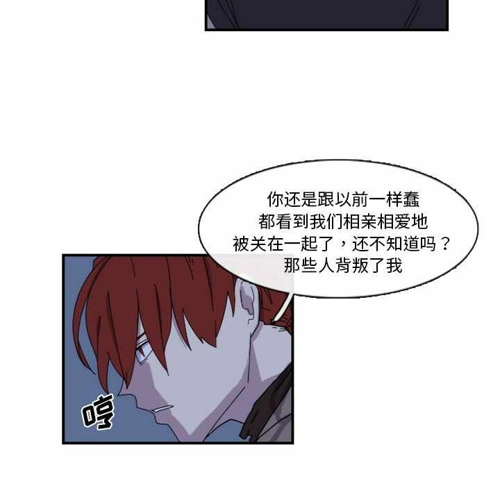 第45张
