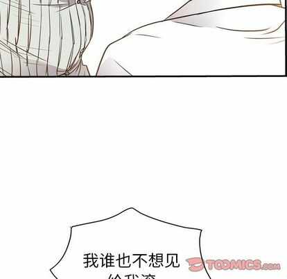 第53张