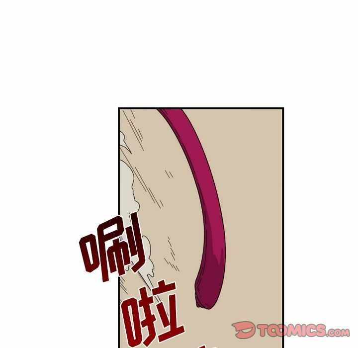 第53张