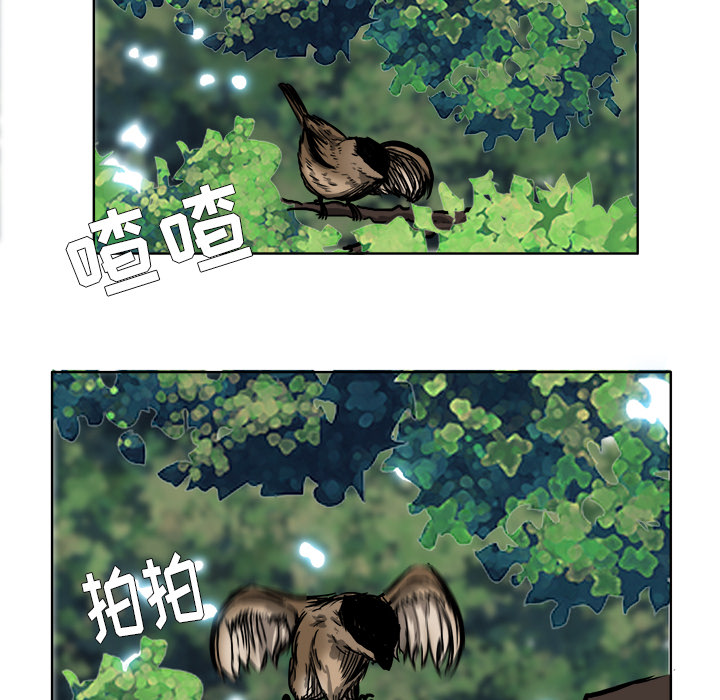 第61张