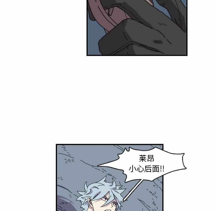 第48张