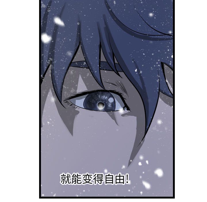 第66张