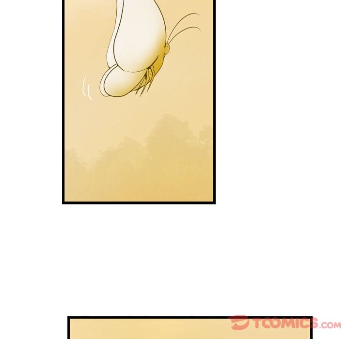 第67张