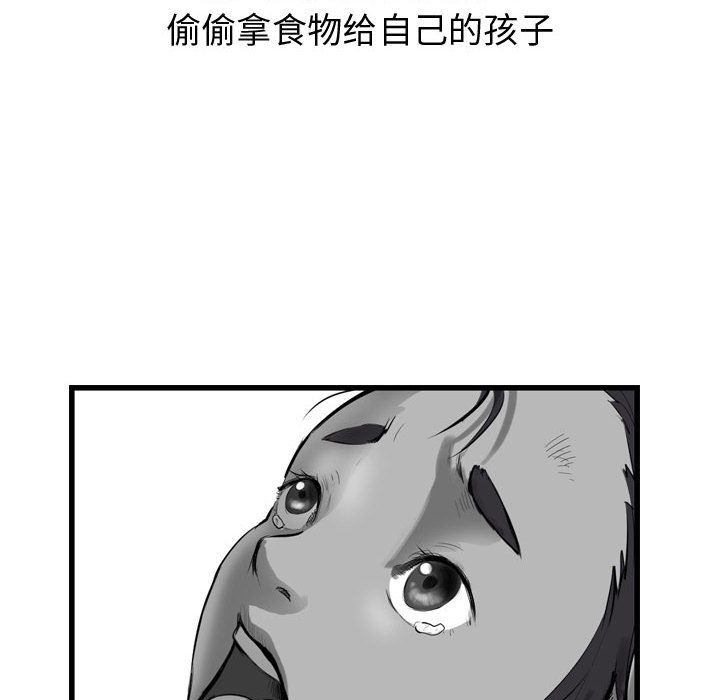 第40张