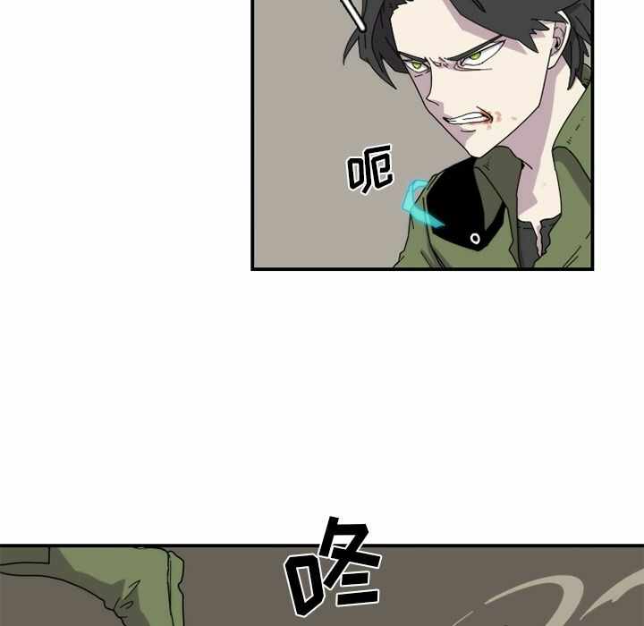 第52张