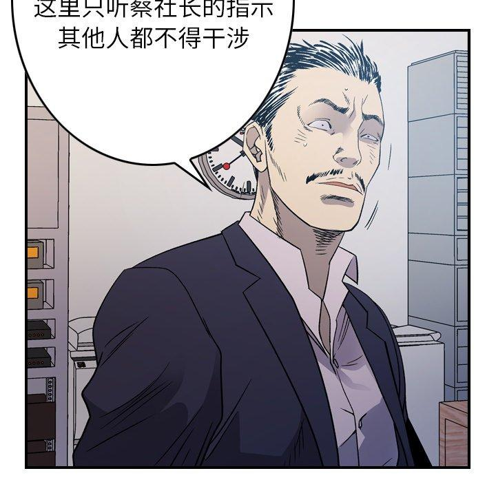第81张
