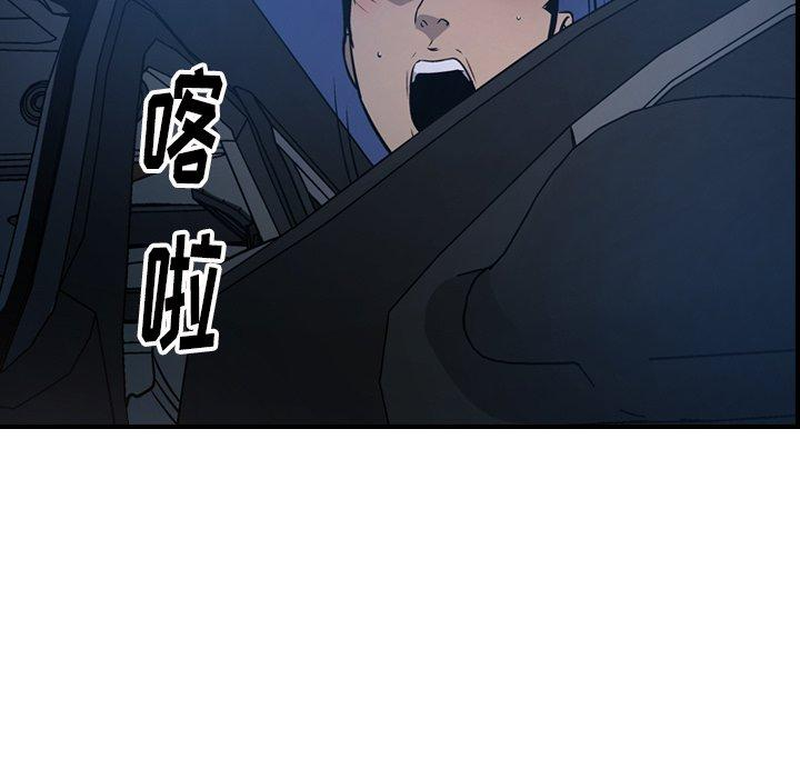 第81张