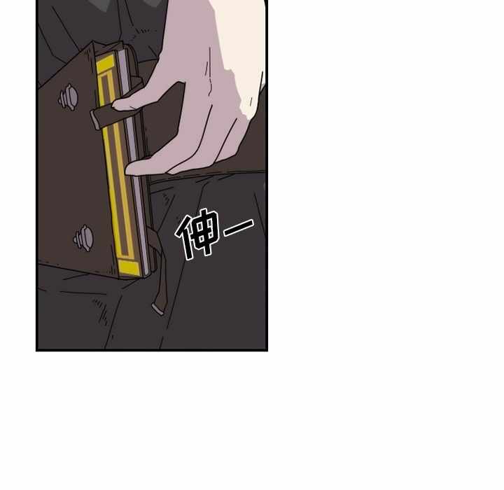 第54张