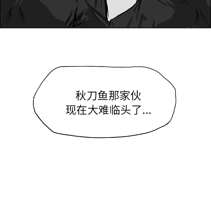 第48张