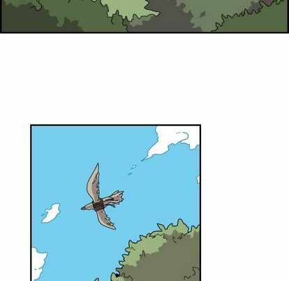 第69张