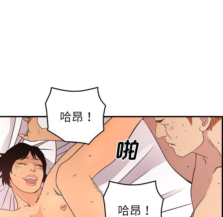 第3张