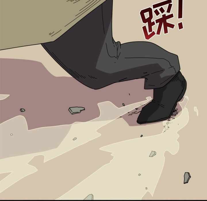 第6张