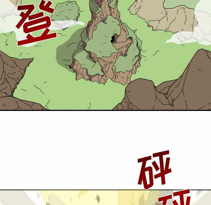 第5张