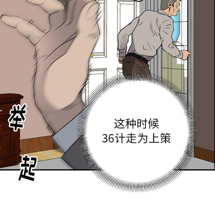 第6张