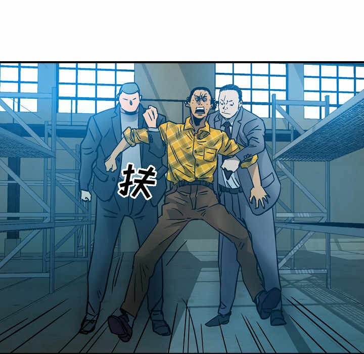 第11张