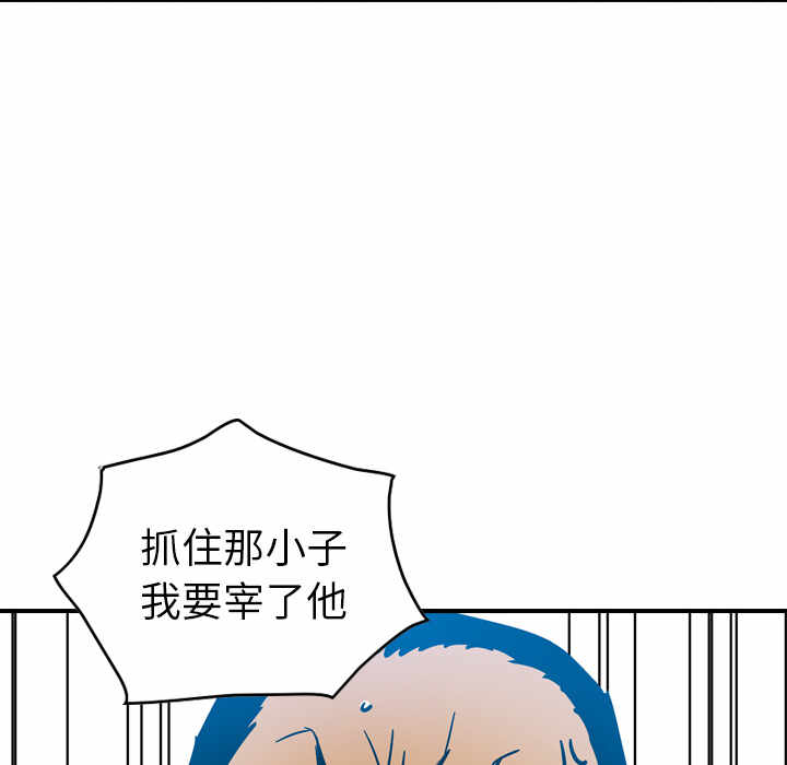 第13张