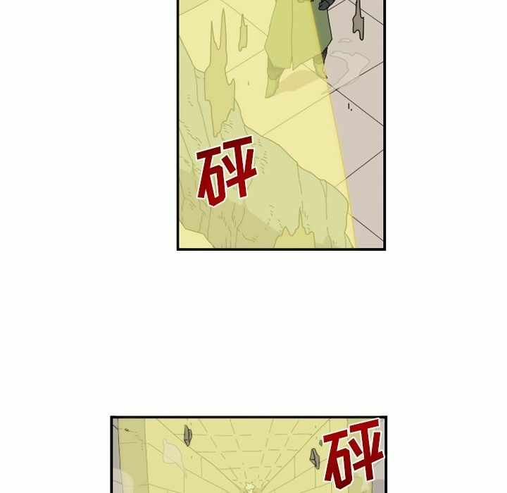第13张