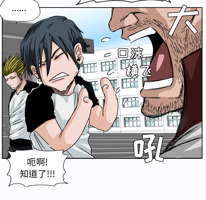 第13张