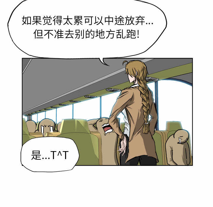 第13张