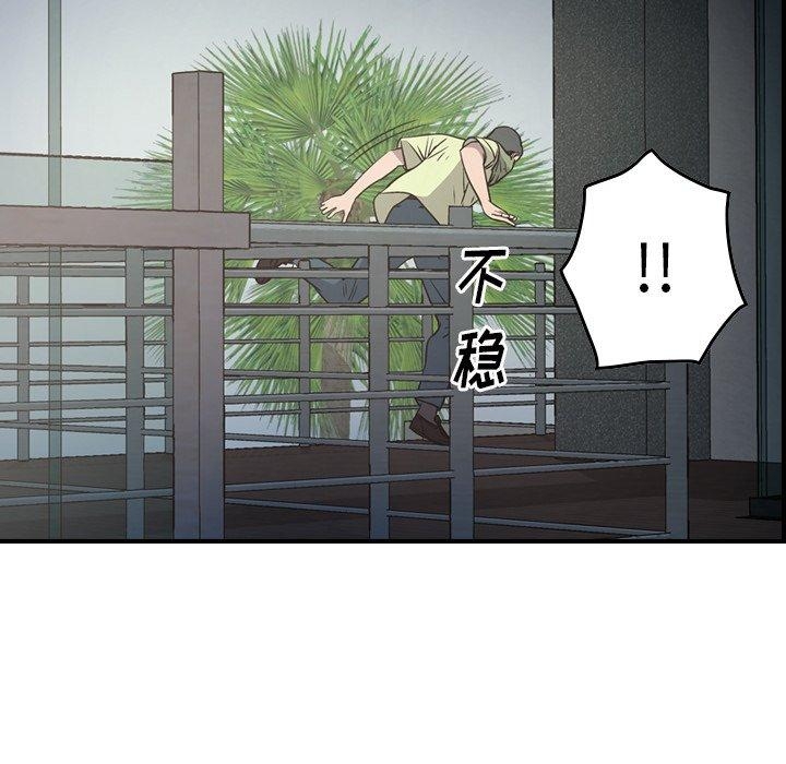 第17张