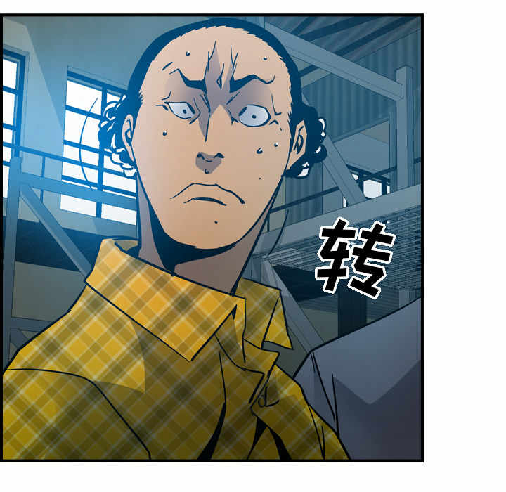第29张