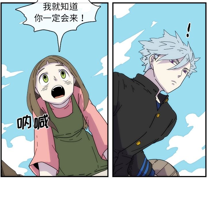 第31张