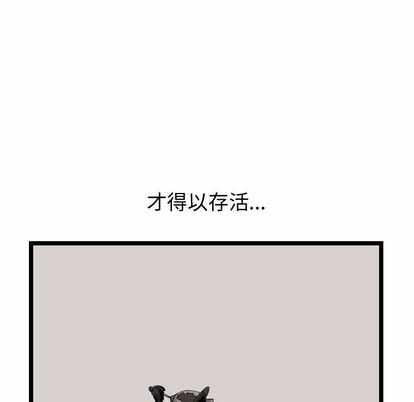 第94张