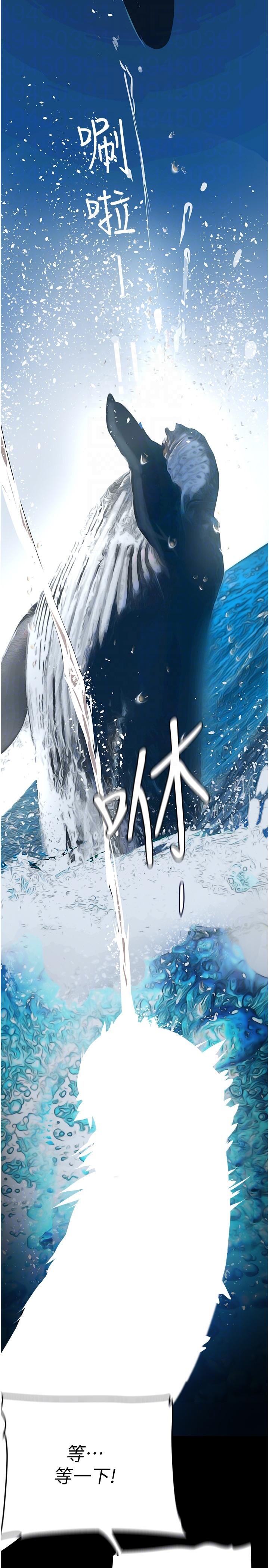 第30张