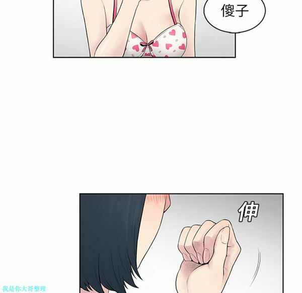 第3张