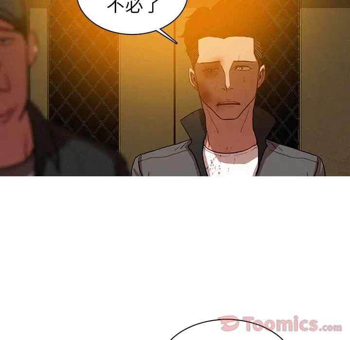 第51张