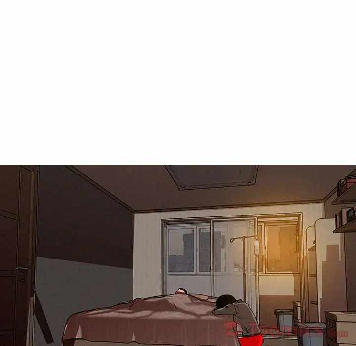 第24张