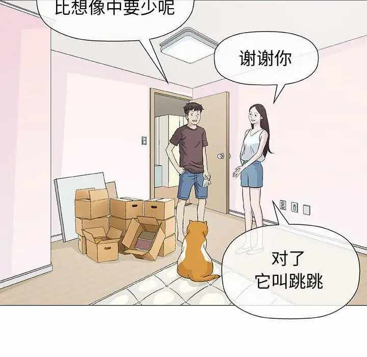 第41张