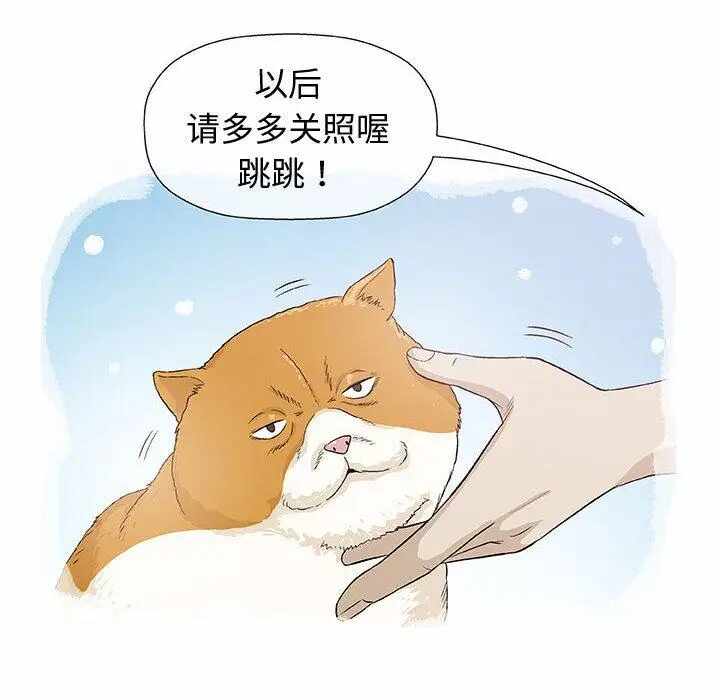 第43张