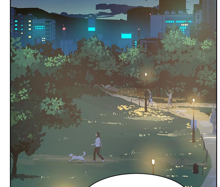 第41张