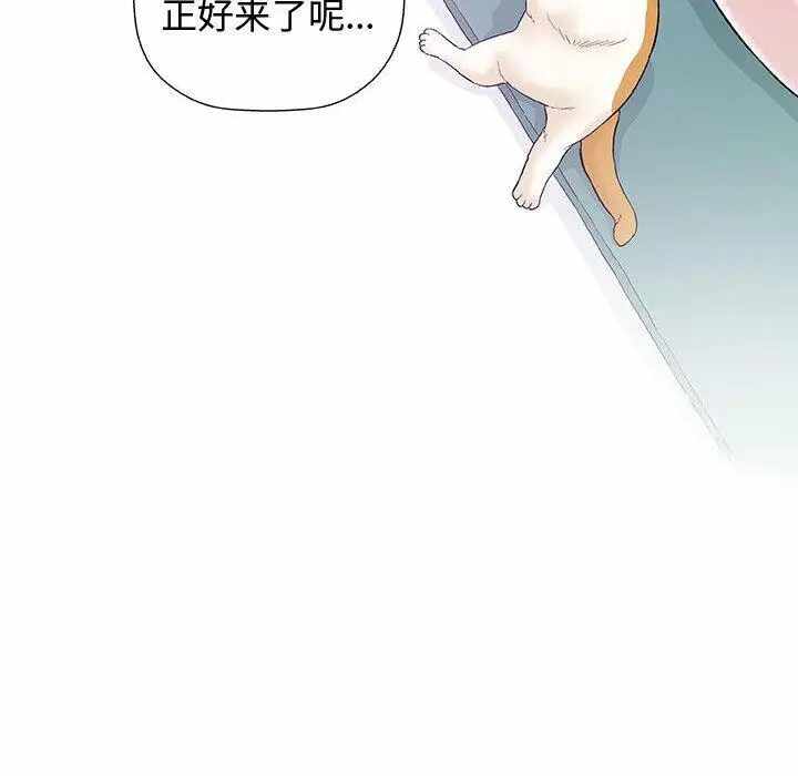 第78张