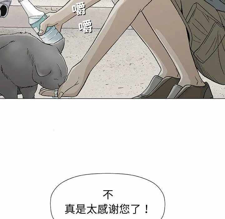 第46张