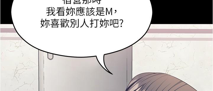 第42张