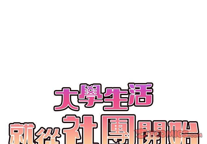 第6张