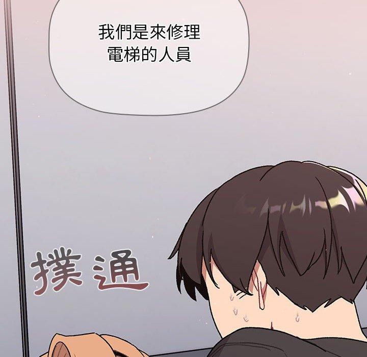 第41张
