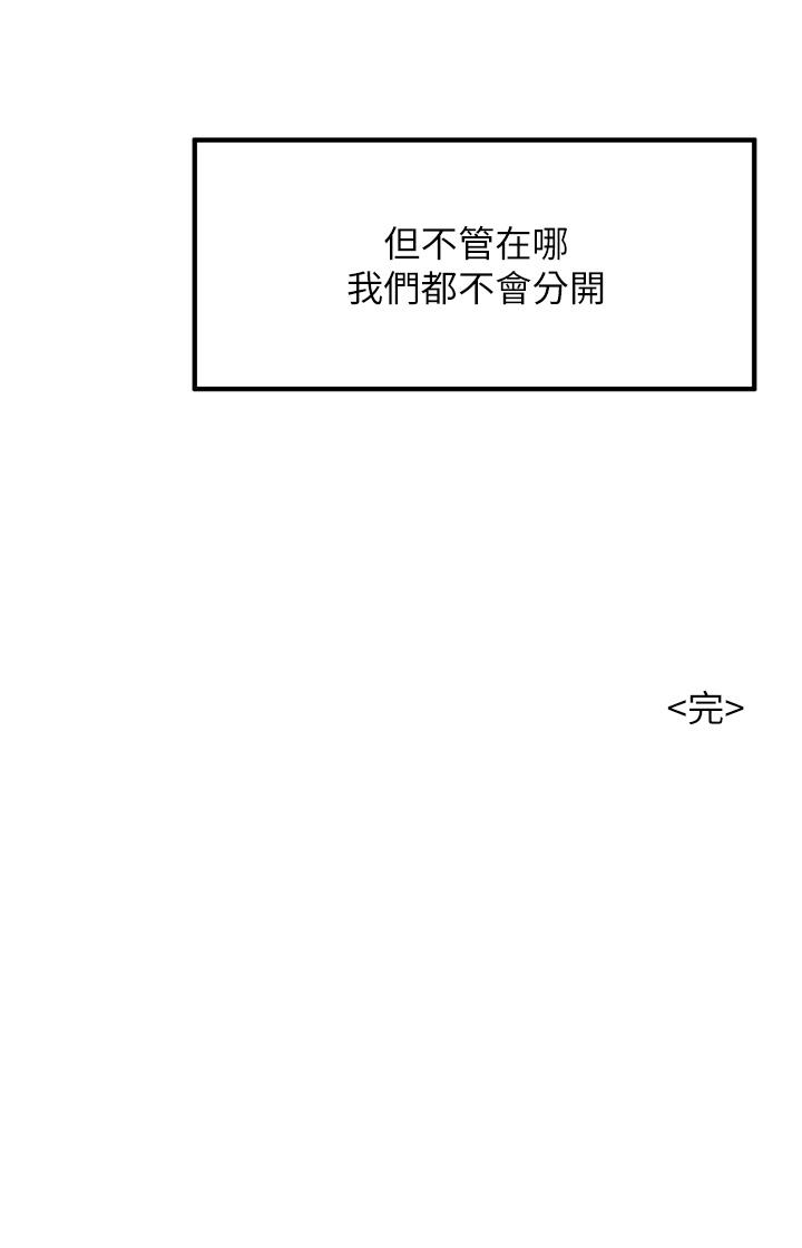 第41张