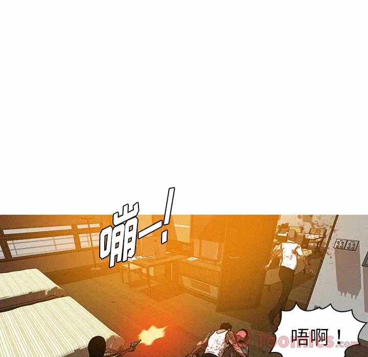 第41张