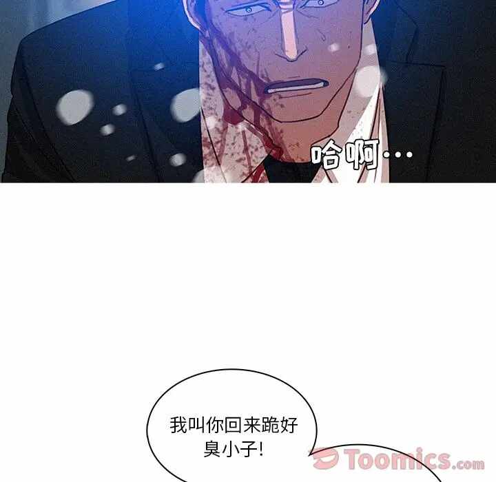 第41张